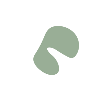 6e743029-placeholder-1768563021