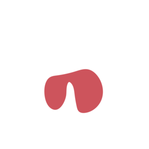 A5994cd8-placeholder-1768563021