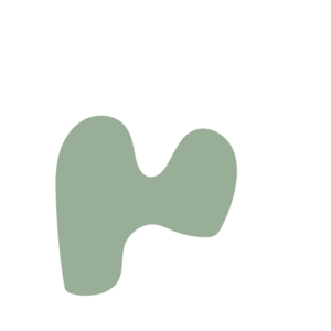 24e6d27c-placeholder-1770850229