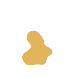 76636b28-placeholder-1768563019