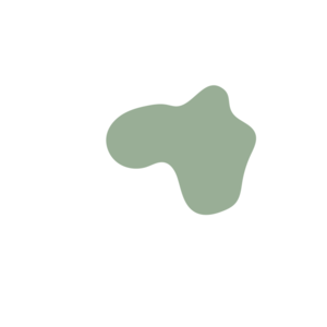 F54610b2-placeholder-1770053965