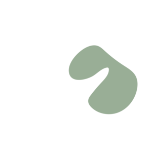 5dcbf332-placeholder-1770013605