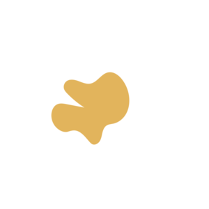 Dde80d0d-placeholder-1770011776