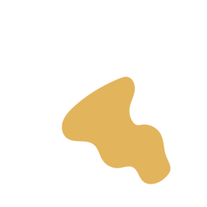 A83916bc-placeholder-1770007874