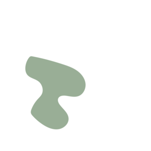 9735bc4b-placeholder-1768563020