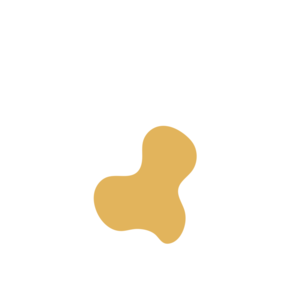 9953d80a-placeholder-1770010878