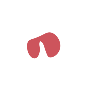 Af3b7d51-placeholder-1770007210