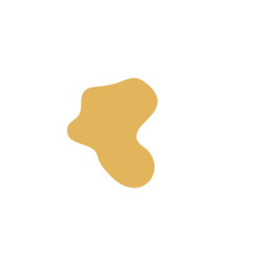 Cf011ff8-placeholder-1770014982