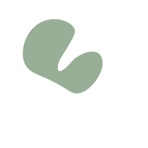 Da37c561-placeholder-1768563016