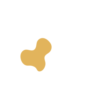 87f5c3e6-placeholder-1769138775