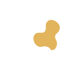 68cde5ad-placeholder-1770025335