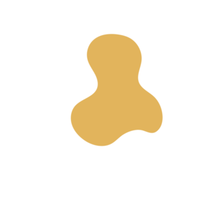 E2c05275-placeholder-1768563015