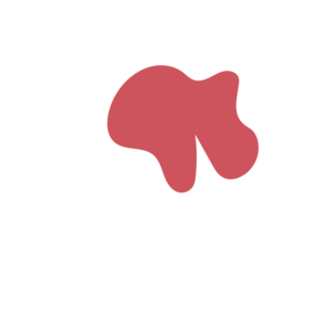 D3f54125-placeholder-1770032531