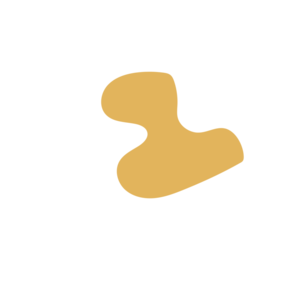 9064c4a1-placeholder-1770027170