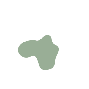 D78d6322-placeholder-1769441121