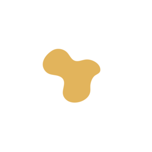 Fbcd2f5b-placeholder-1768563017