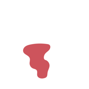 Dc63bf2f-placeholder-1768563013