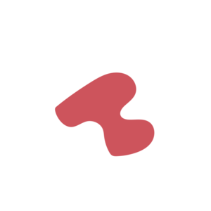 095cbd10-placeholder-1768563013