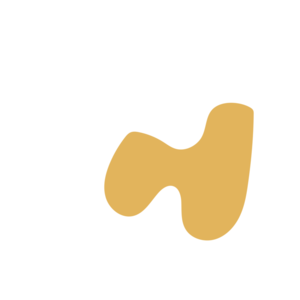 6c6d6e81-placeholder-1768563013