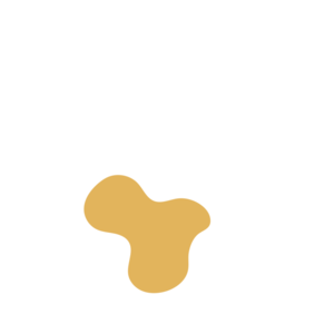 D50fea51-placeholder-1770012530