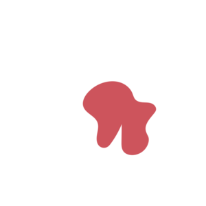 Dd1250bc-placeholder-1768562988