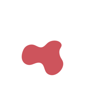 C1bb610b-placeholder-1768562986