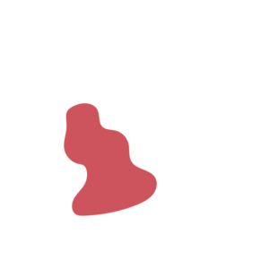 2cc26388-placeholder-1770027327