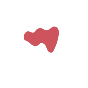 B066b0e0-placeholder-1768562984