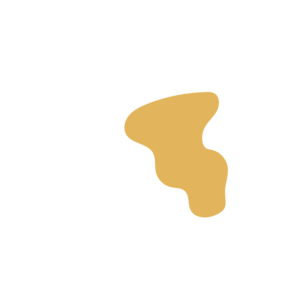 8eaa4f66-placeholder-1770014204