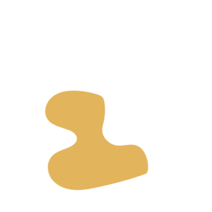 Fbbc5ffc-placeholder-1768562984