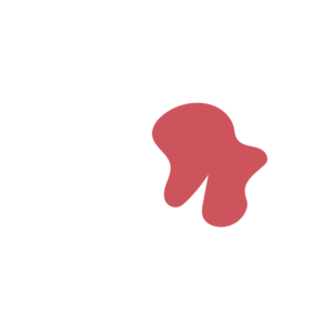 4fede303-placeholder-1768562983