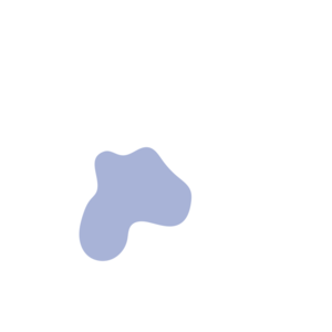 90b846b6-placeholder-1768562981