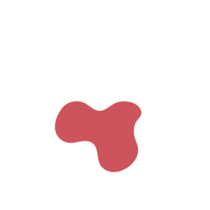 77bd829f-placeholder-1768562982