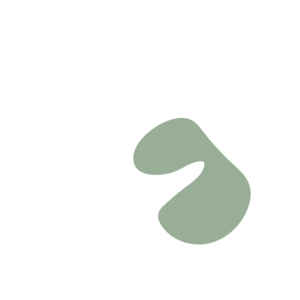 Db9cc8e8-placeholder-1770024236