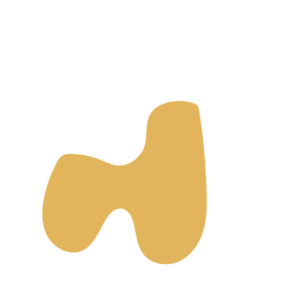 7e32cabd-placeholder-1768562979