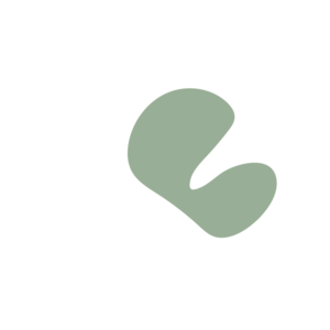 C39a9a57-placeholder-1770025336