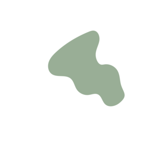 E85e05c9-placeholder-1768562979