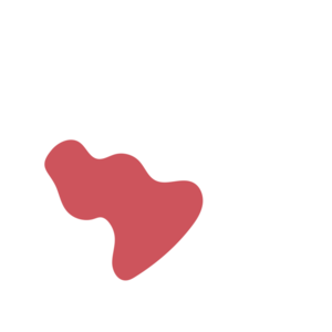 3740ac4a-placeholder-1770021113