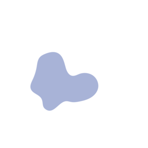 B5e324ad-placeholder-1770012063