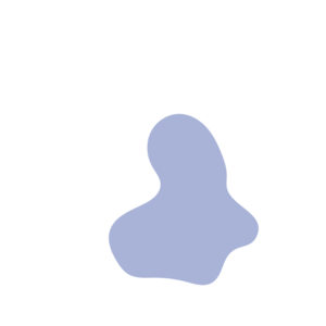 B1d748cc-placeholder-1770054032