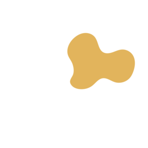 18d33779-placeholder-1770014396