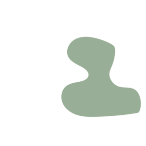 Babbd0e2-placeholder-1768562827