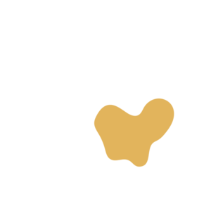 0cea8bb6-placeholder-1768562827