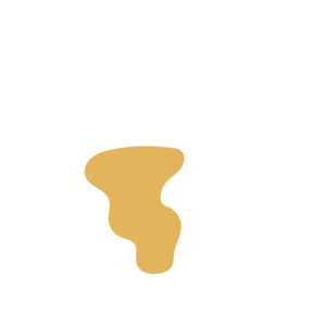 91edc3ad-placeholder-1768562827