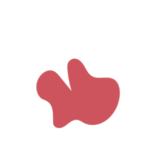 Af1f6658-placeholder-1770006149