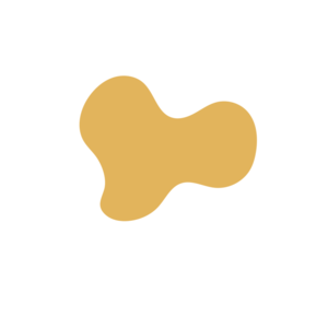 53685e69-placeholder-1768562826