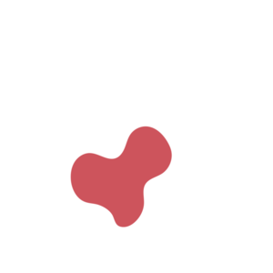 3b605636-placeholder-1768562825