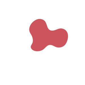 Ce8ca28a-placeholder-1768562825