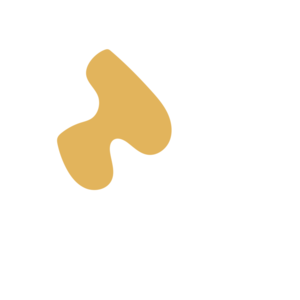 D4d97040-placeholder-1768562825