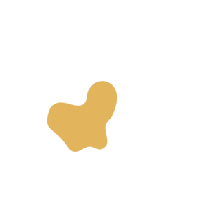 9d35190c-placeholder-1770005749